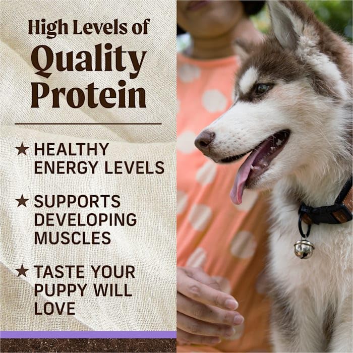 Merrick Grain Free Beef + Sweet Potato Recipe Dry Puppy Food, 4 lbs. ( packaging may vary ) - Image 8