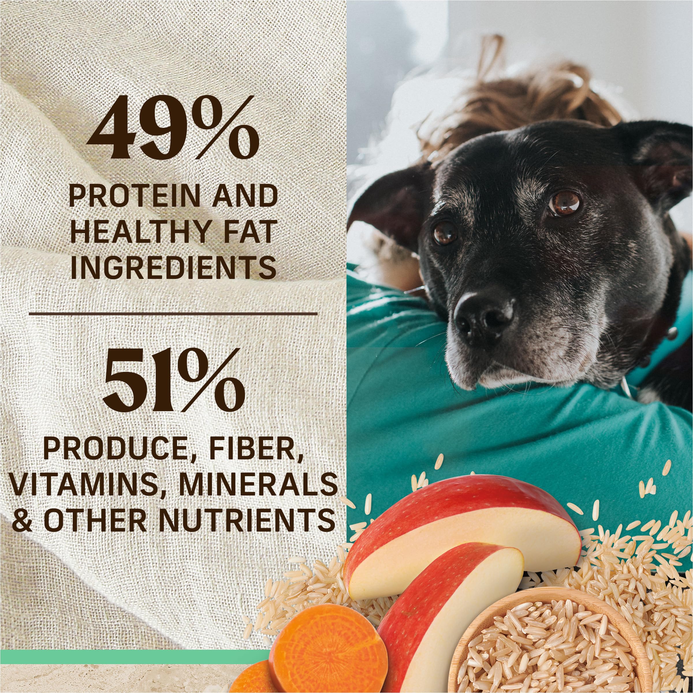 Merrick Healthy Grains Premium Dry Dog Food, Wholesome and Natural Dry Chicken Kibble, Senior Recipe - 25.0 lb. Bag - Image 7