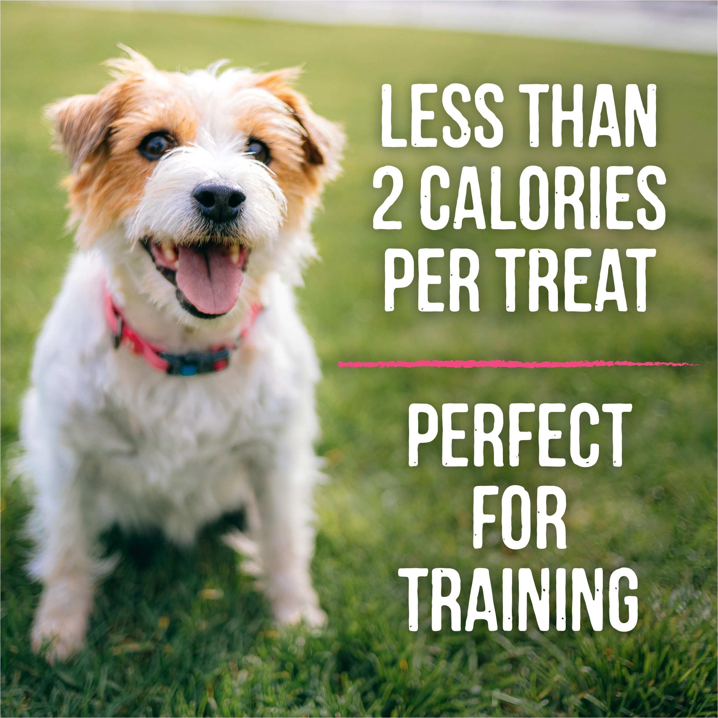 Merrick Lil’ Plates Grain Free Small Dog Treats, Natural Training Treats For Small Dogs, Lil’ Chunky Chicken - 5 oz. Pouch - Image 4