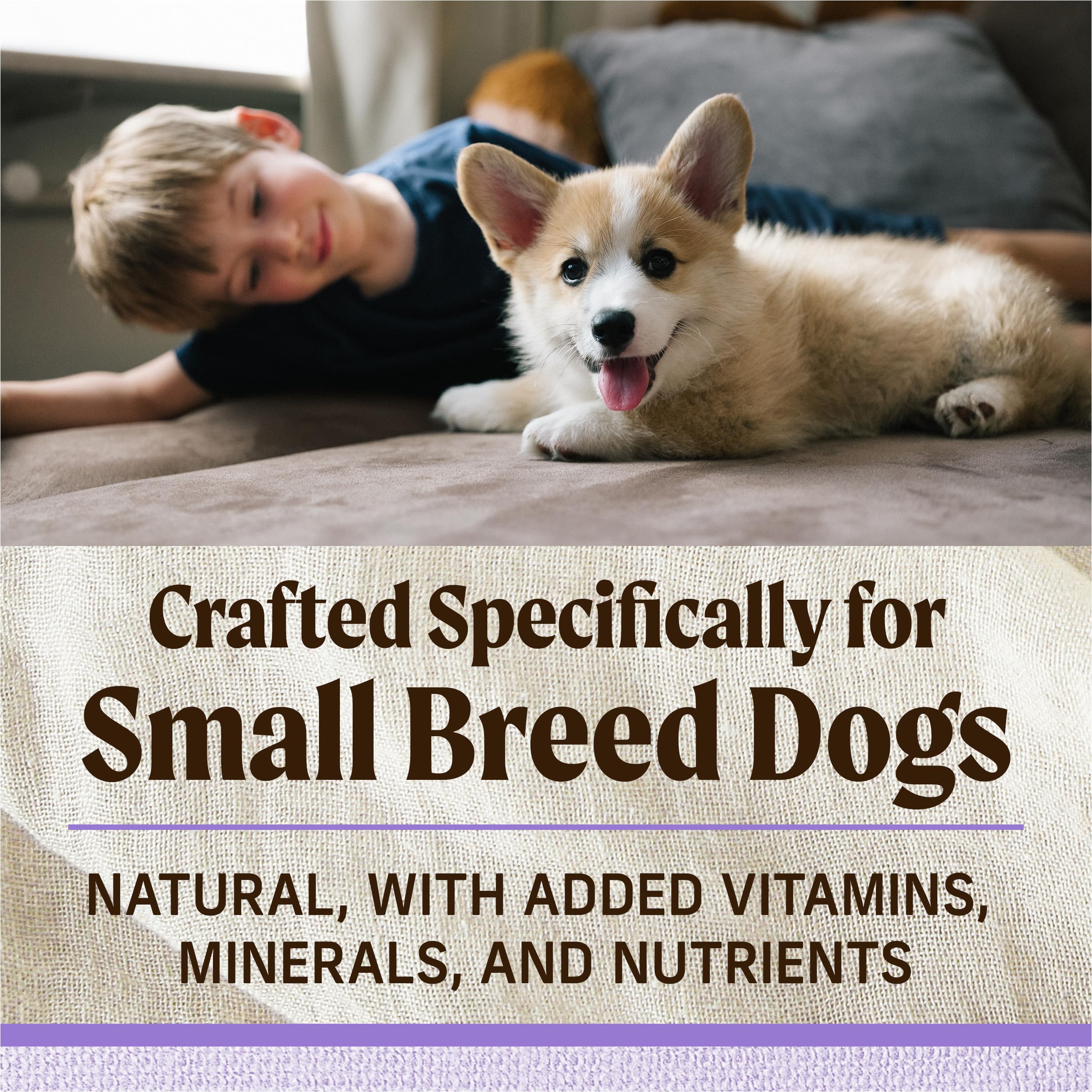 Merrick Lil’ Plates Premium Grain Free Dry Puppy Food for Small Dogs, Real Chicken and Sweet Potato Kibble - 12.0 lb. Bag - Image 3