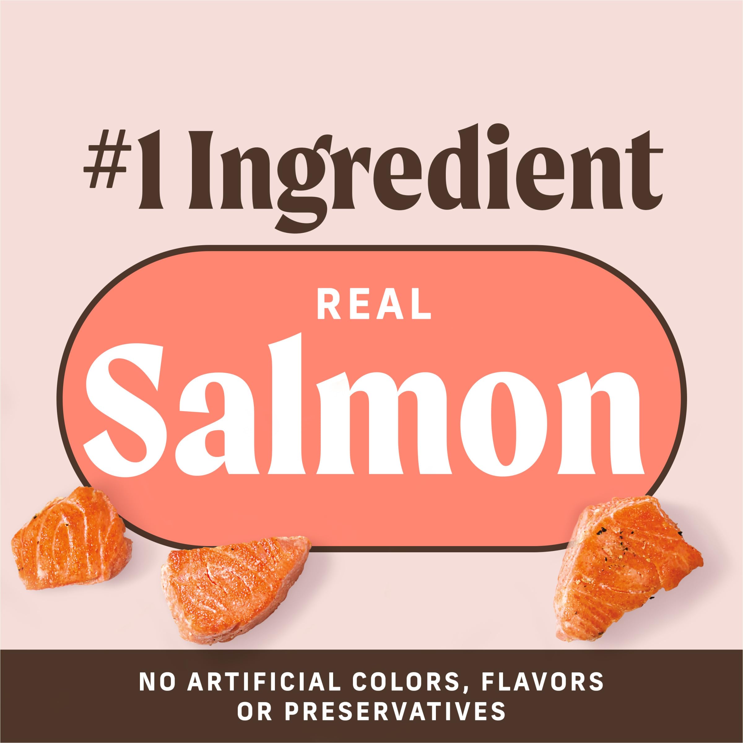 Merrick Power Bites Salmon Recipe Healthy Dog Treats, Real Salmon Grain-Free Dog Snacks, 6 oz Bag - Image 4