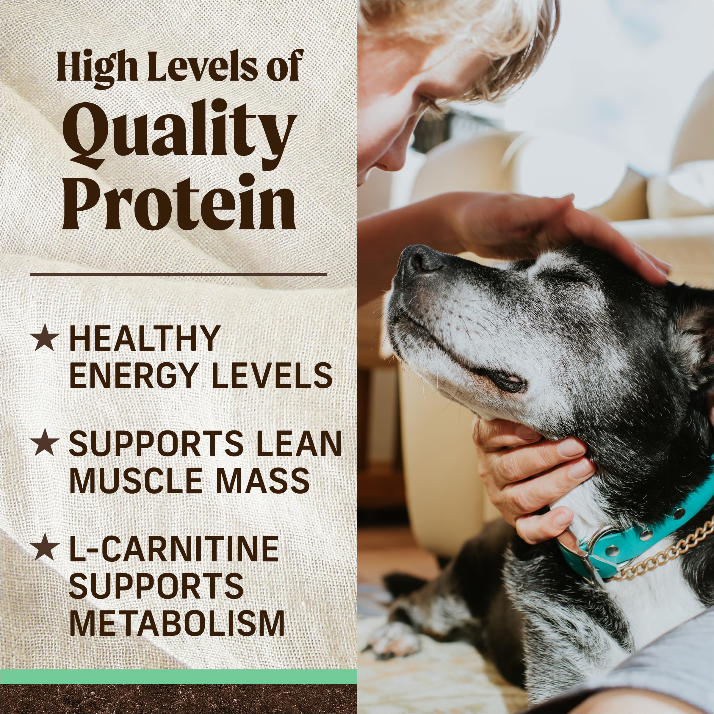 Merrick Premium Grain Free Dry Senior Dog Food, Wholesome and Natural Kibble, Real Chicken and Sweet Potato - 22.0 lb. Bag - Image 7